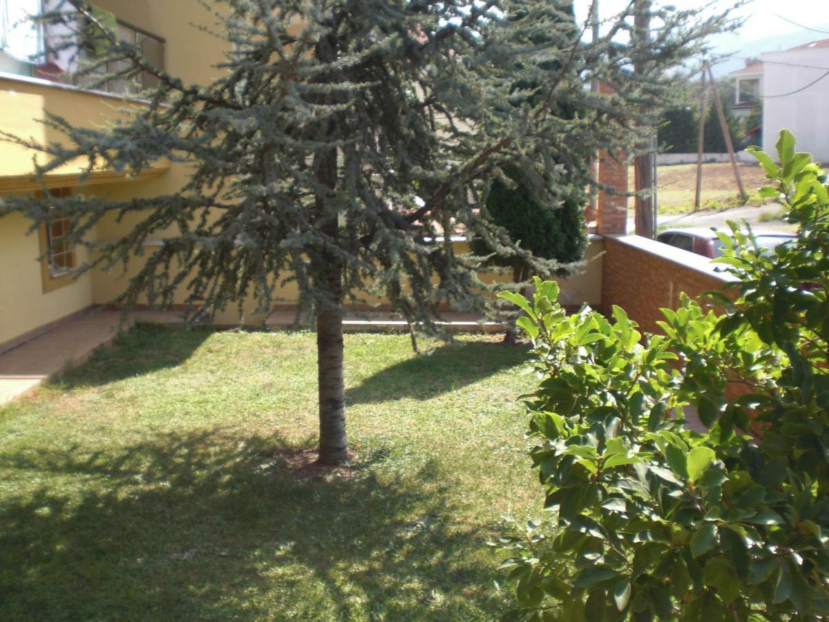 Διαμερισμα Στο Λιτοχωρο Με Εκπληκτικη Θεα Lejlighed Litóchoron Eksteriør billede